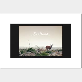 Deer in the Scottish Wilderness Posters and Art